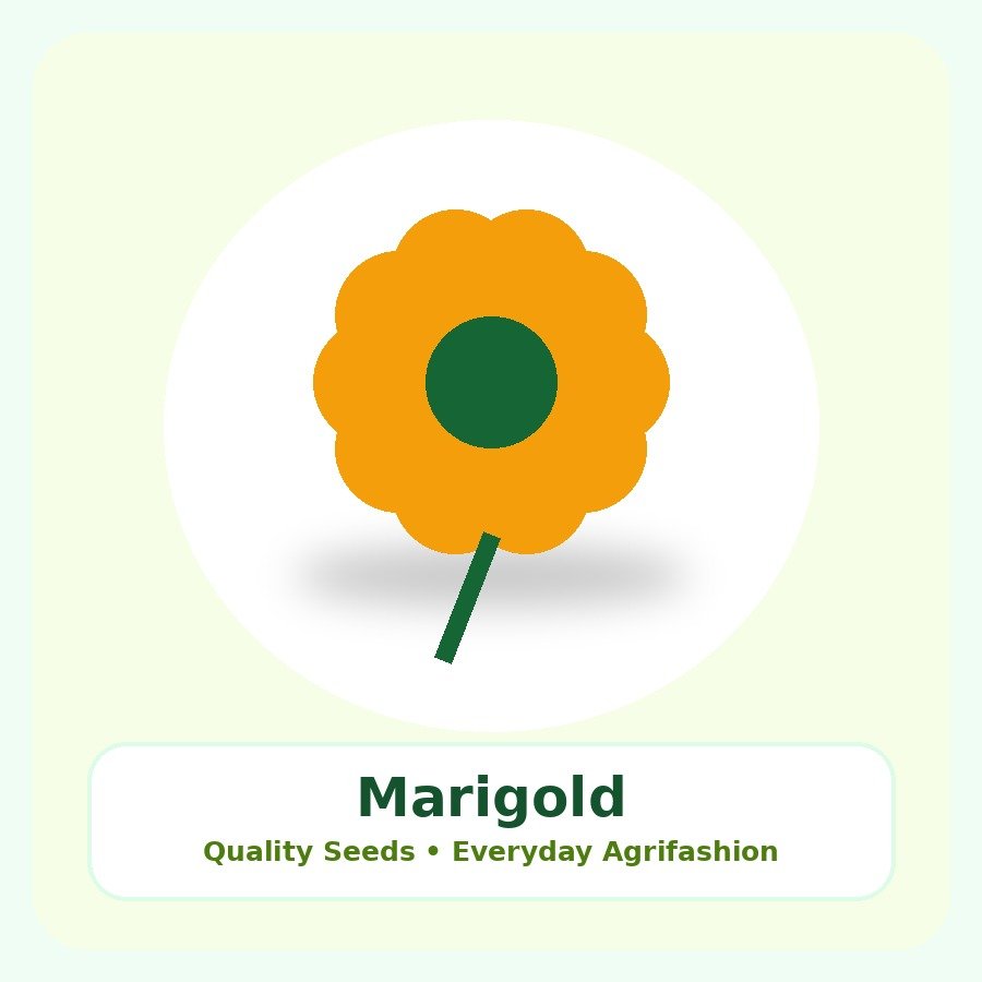 Marigold Seeds 50 Seeds