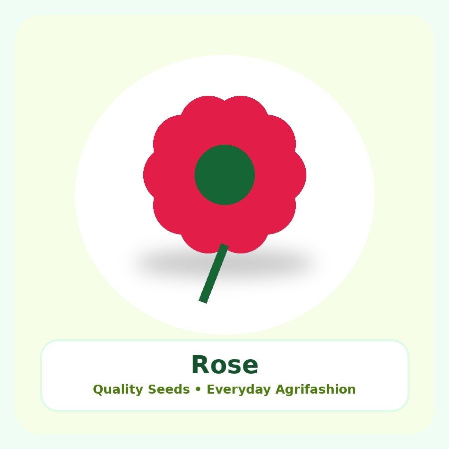 Rose Seeds 25 Seeds