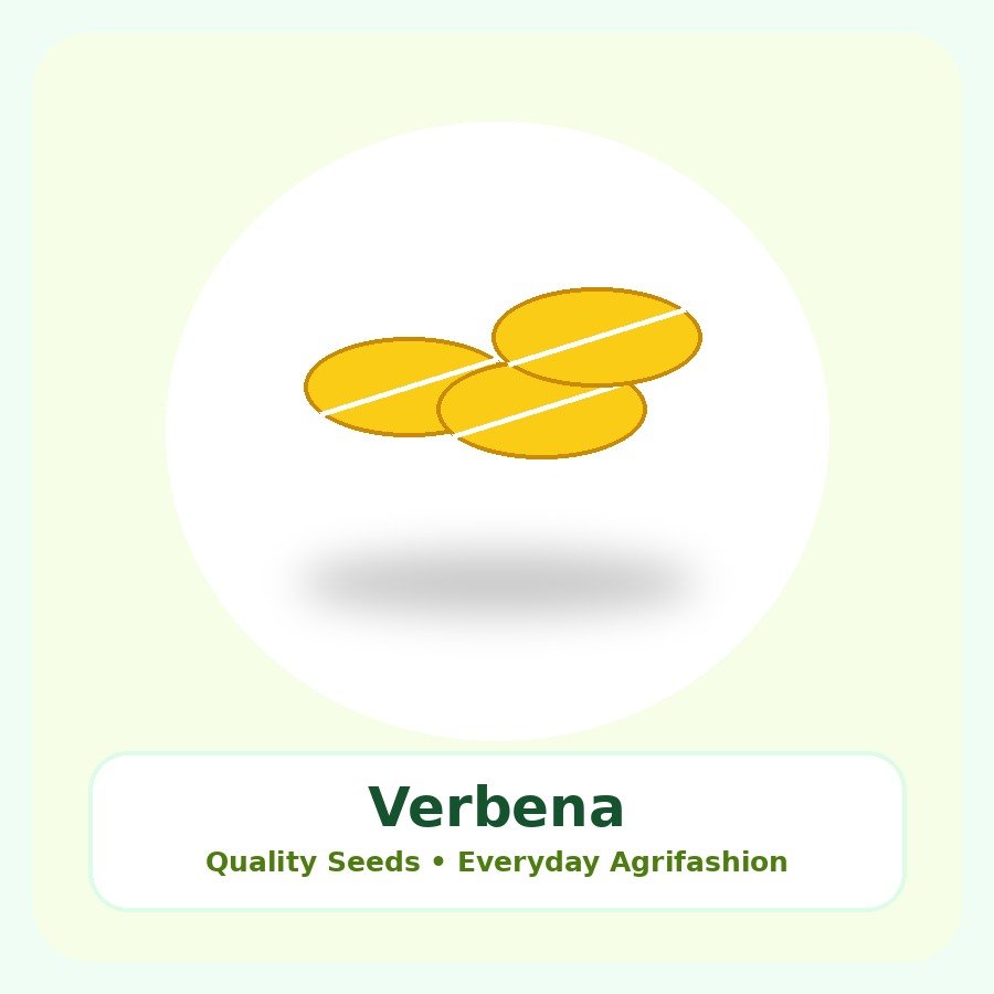 Verbena Seeds 50 Seeds
