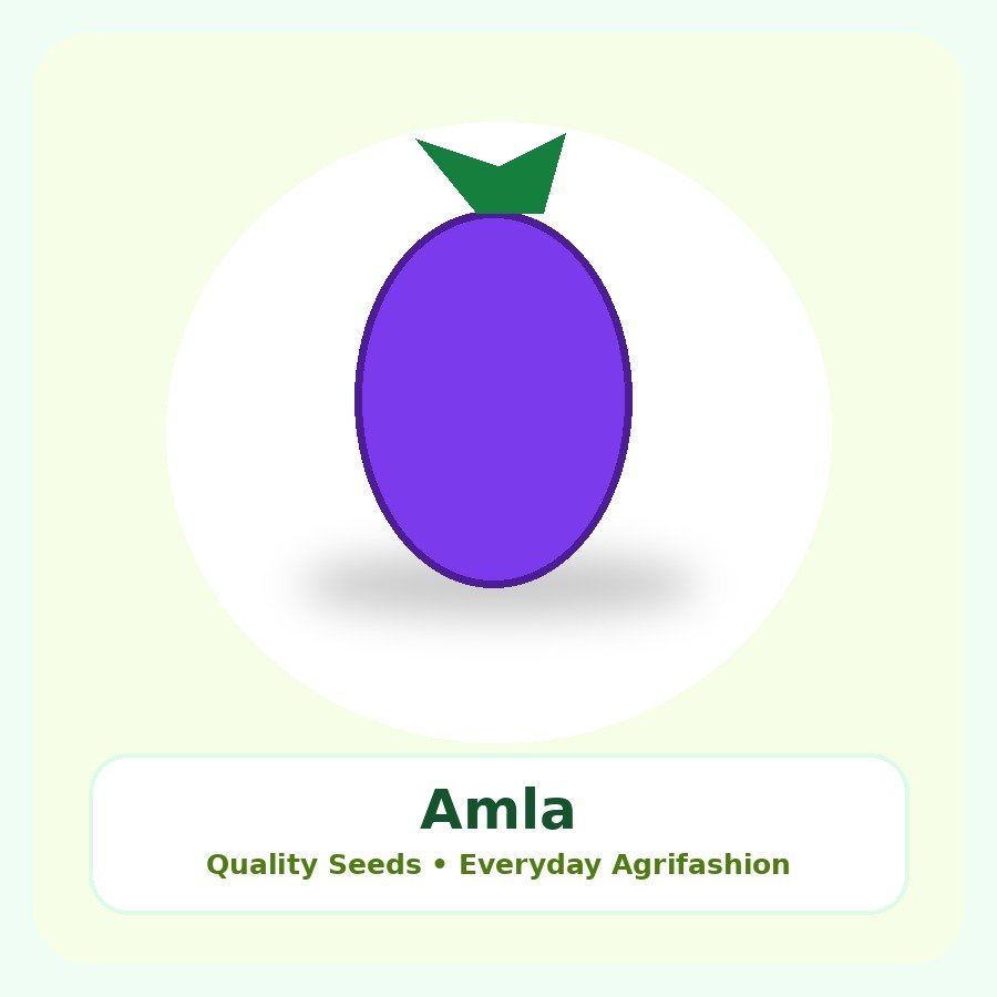 Amla Seeds 250 Seeds