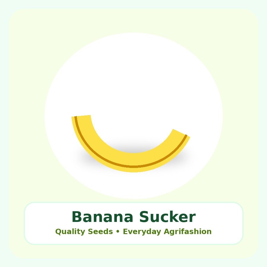 Banana Sucker Seeds 25 Seeds