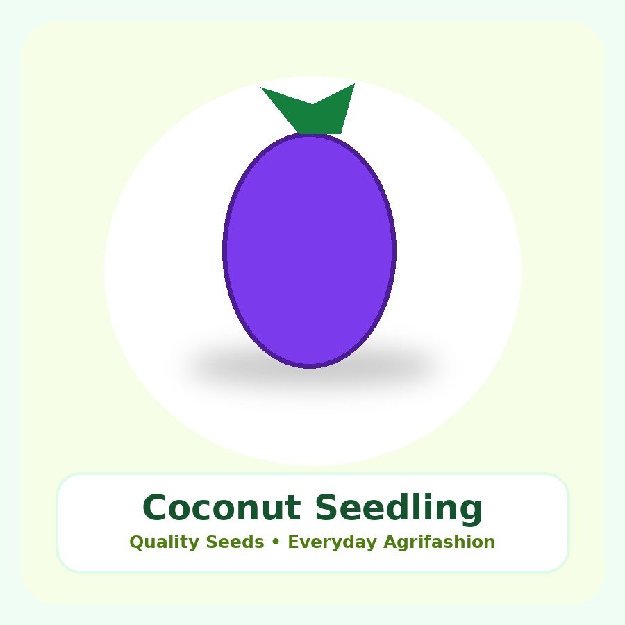 Coconut Seedling Seeds 10 Seeds