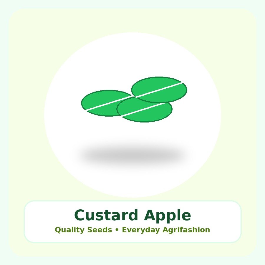 Custard Apple Seeds 50 Seeds
