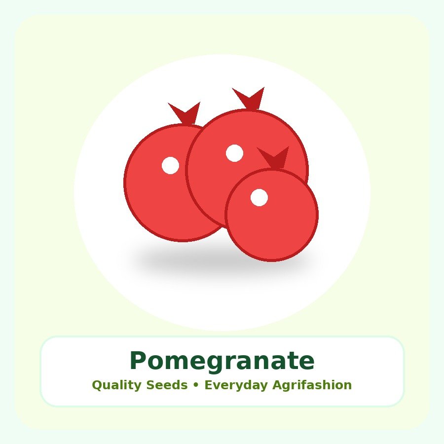 Pomegranate Seeds 25 Seeds
