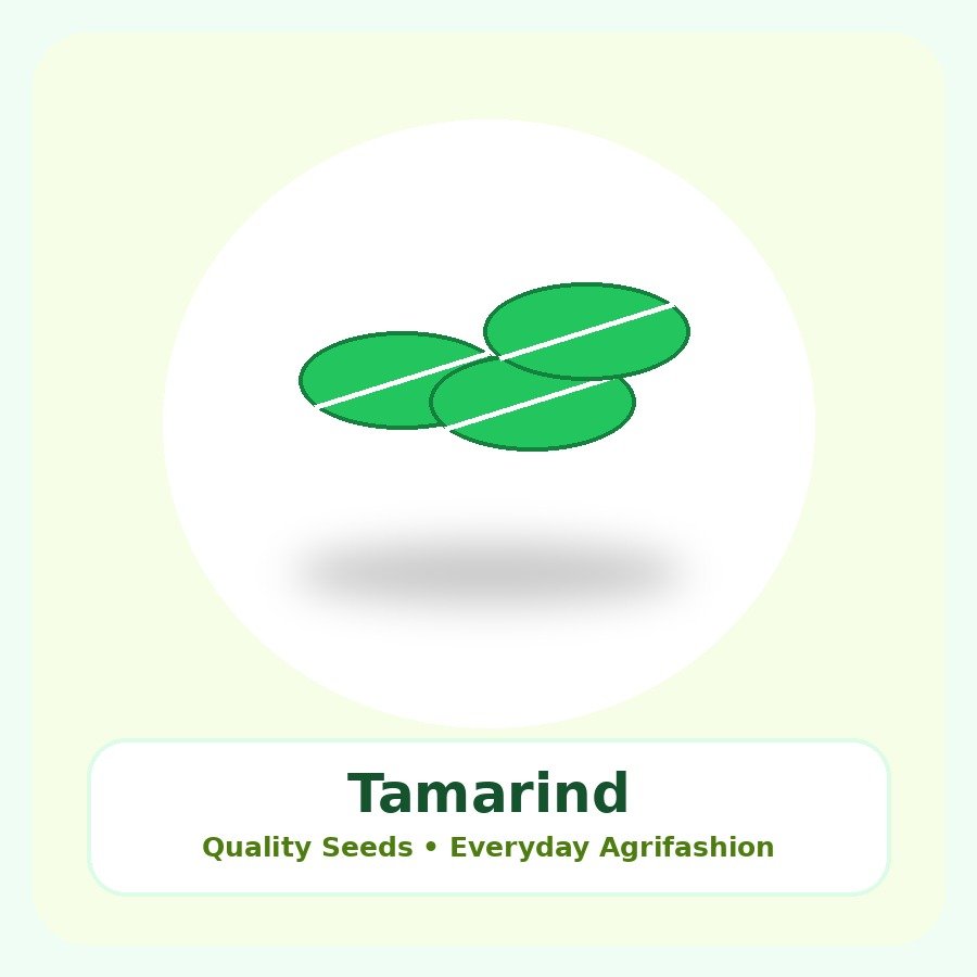 Tamarind Seeds 25 Seeds