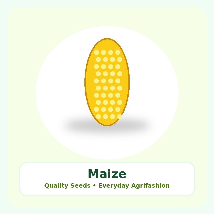 Maize Seeds 5kg