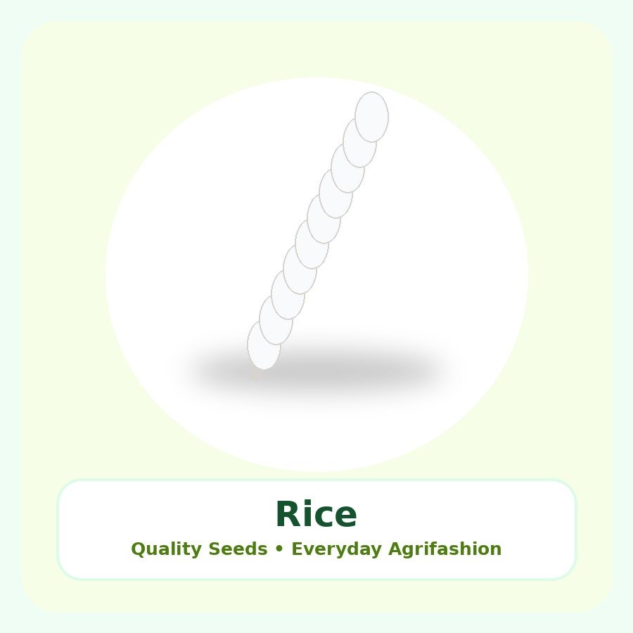 Rice Seeds 1kg