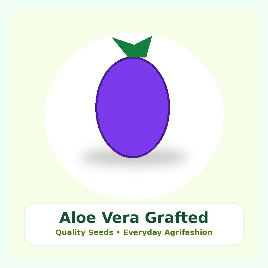 Aloe Vera Grafted Plant