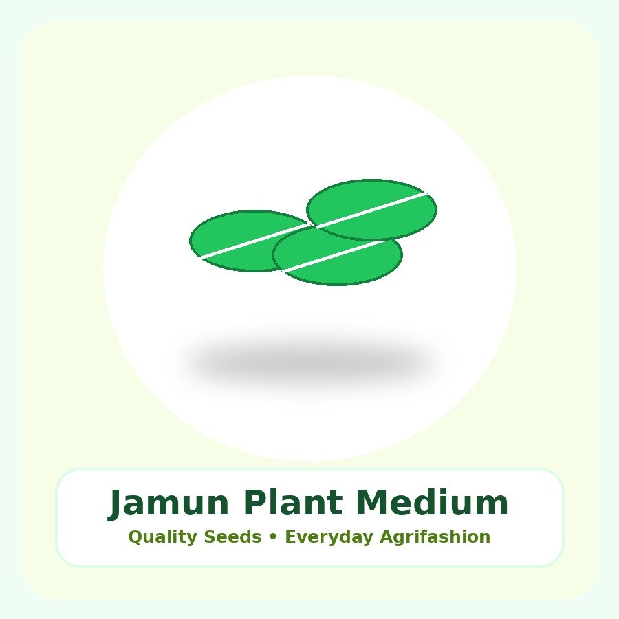 Jamun Plant Medium Plant