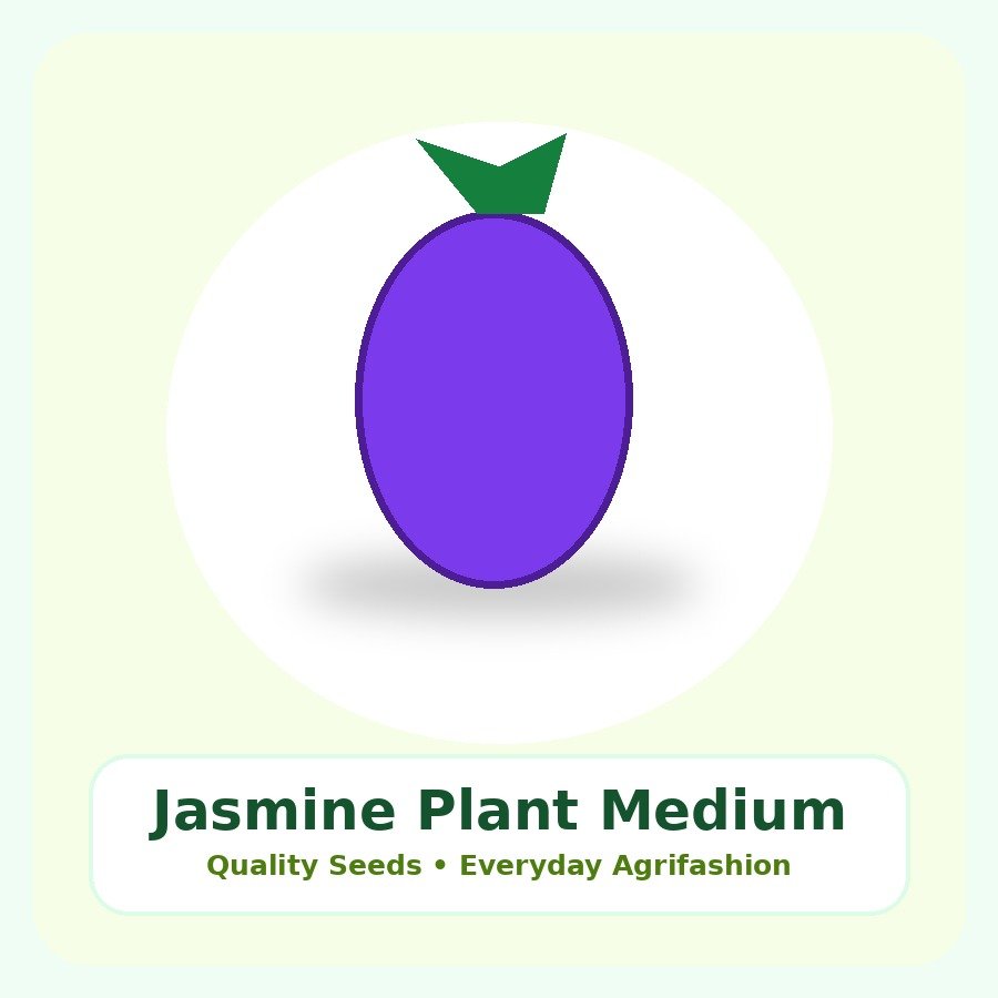 Jasmine Plant Medium Plant