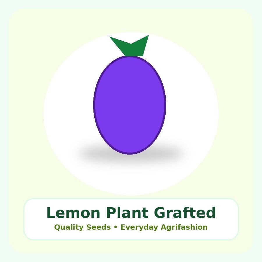Lemon Plant Grafted Plant