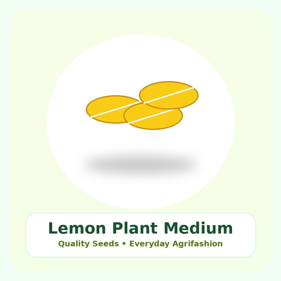 Lemon Plant Medium Plant