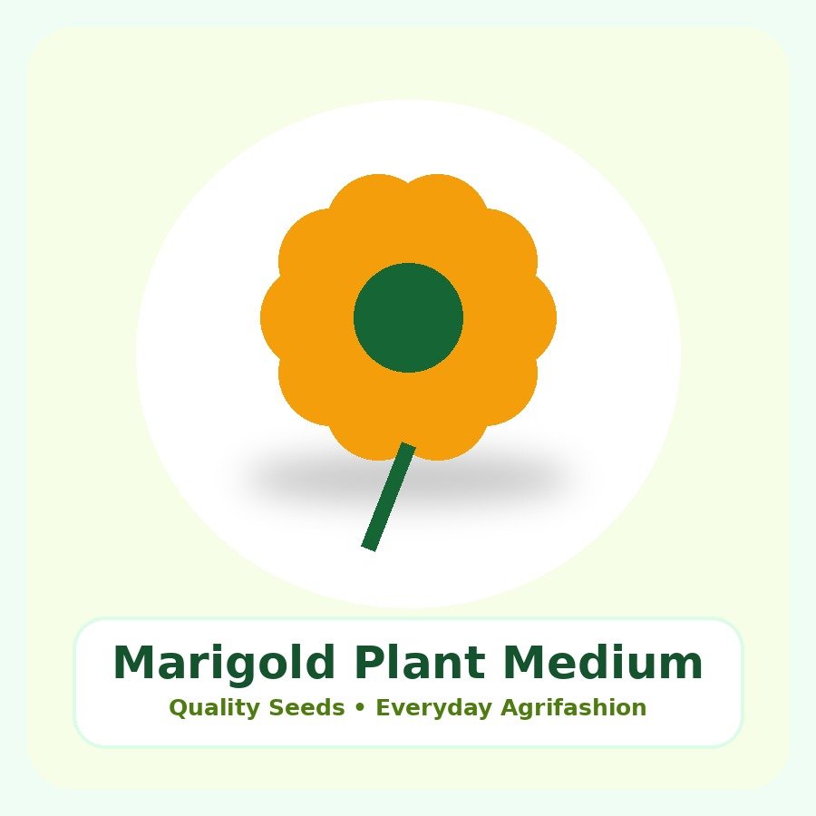 Marigold Plant Medium Plant