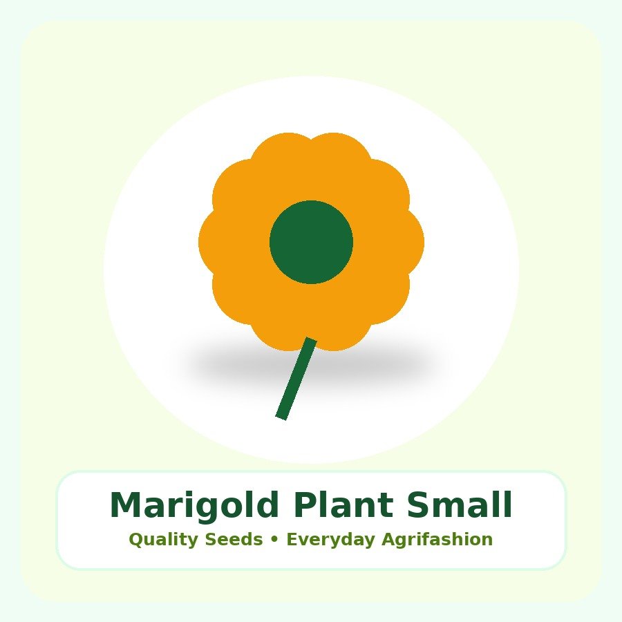 Marigold Plant Small Nursery Bag