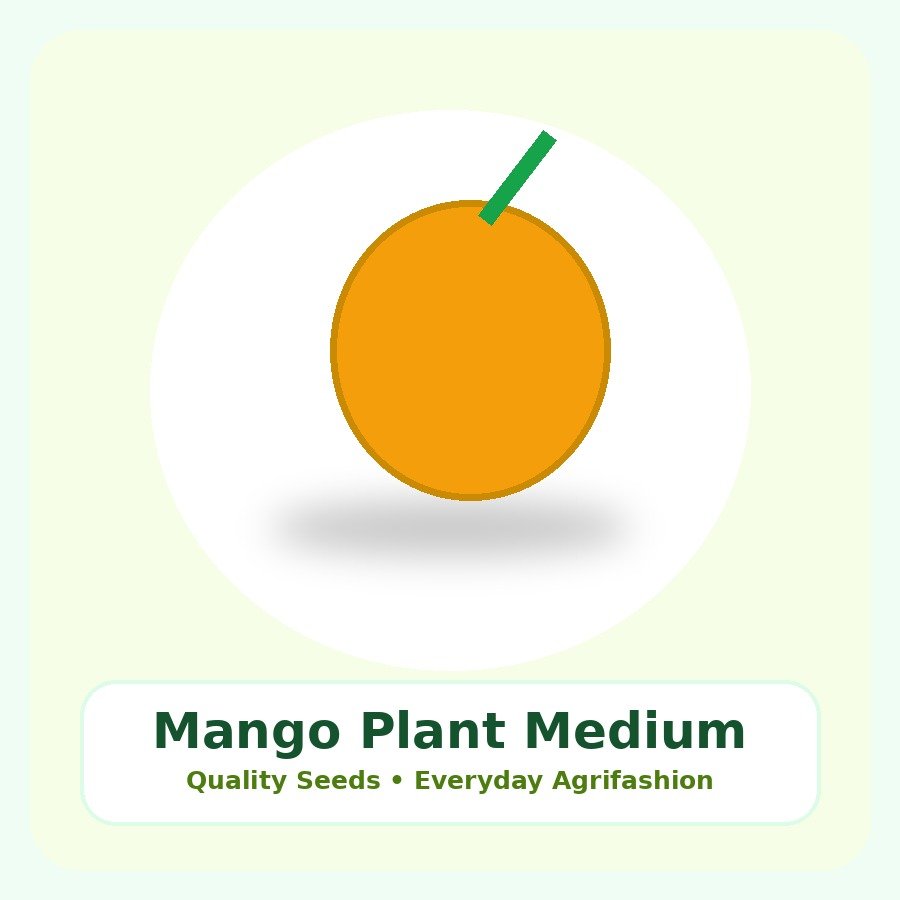 Mango Plant Medium Plant