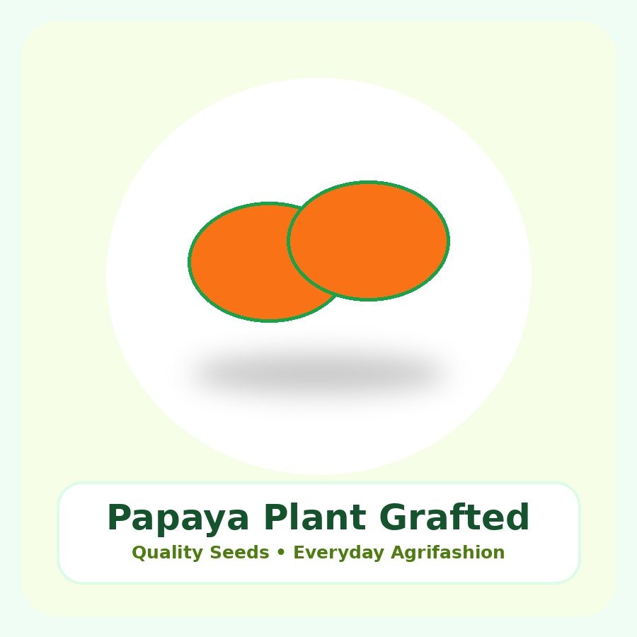 Papaya Plant Grafted Plant