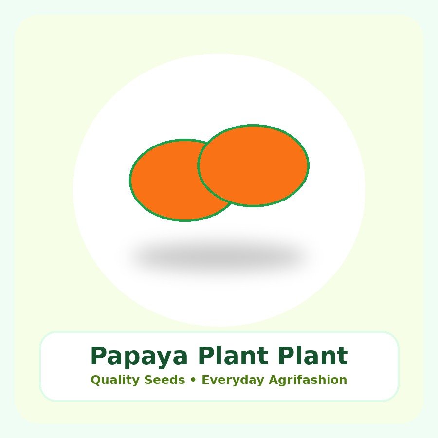 Papaya Plant Premium Plant
