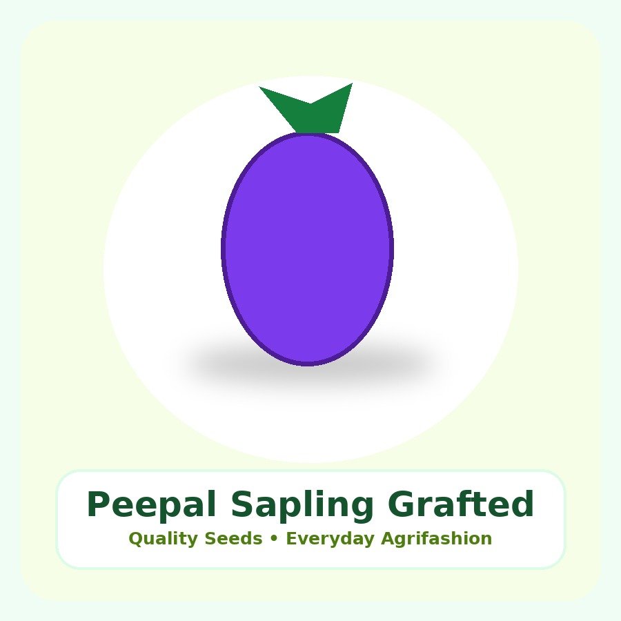 Peepal Sapling Grafted Plant