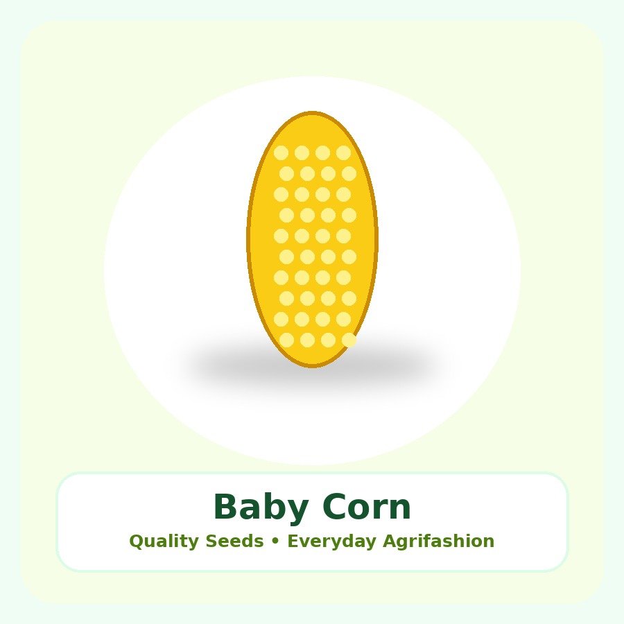 Baby Corn Seeds 100g
