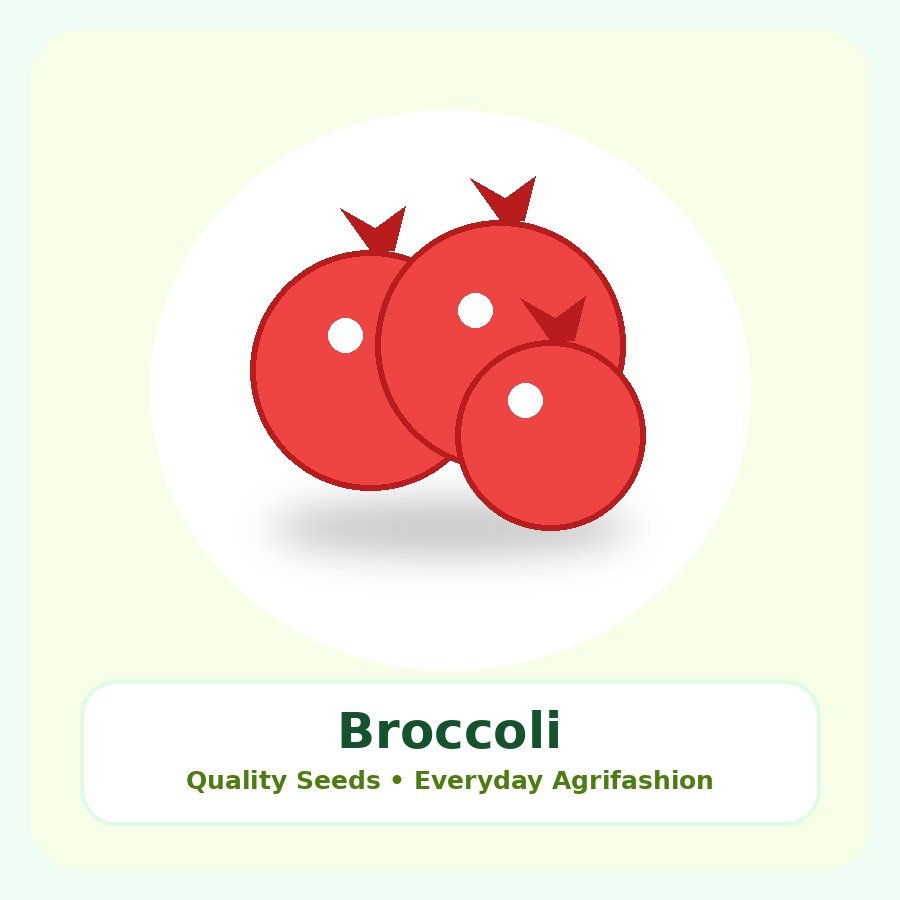 Broccoli Seeds 250g