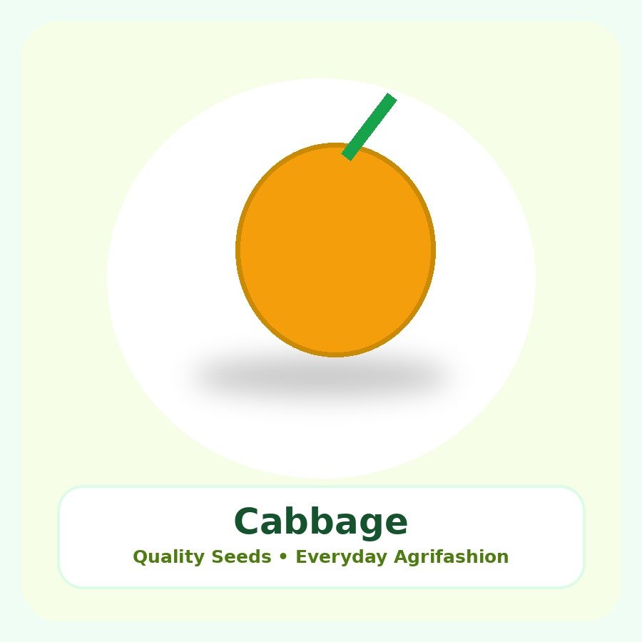 Cabbage Seeds 1kg