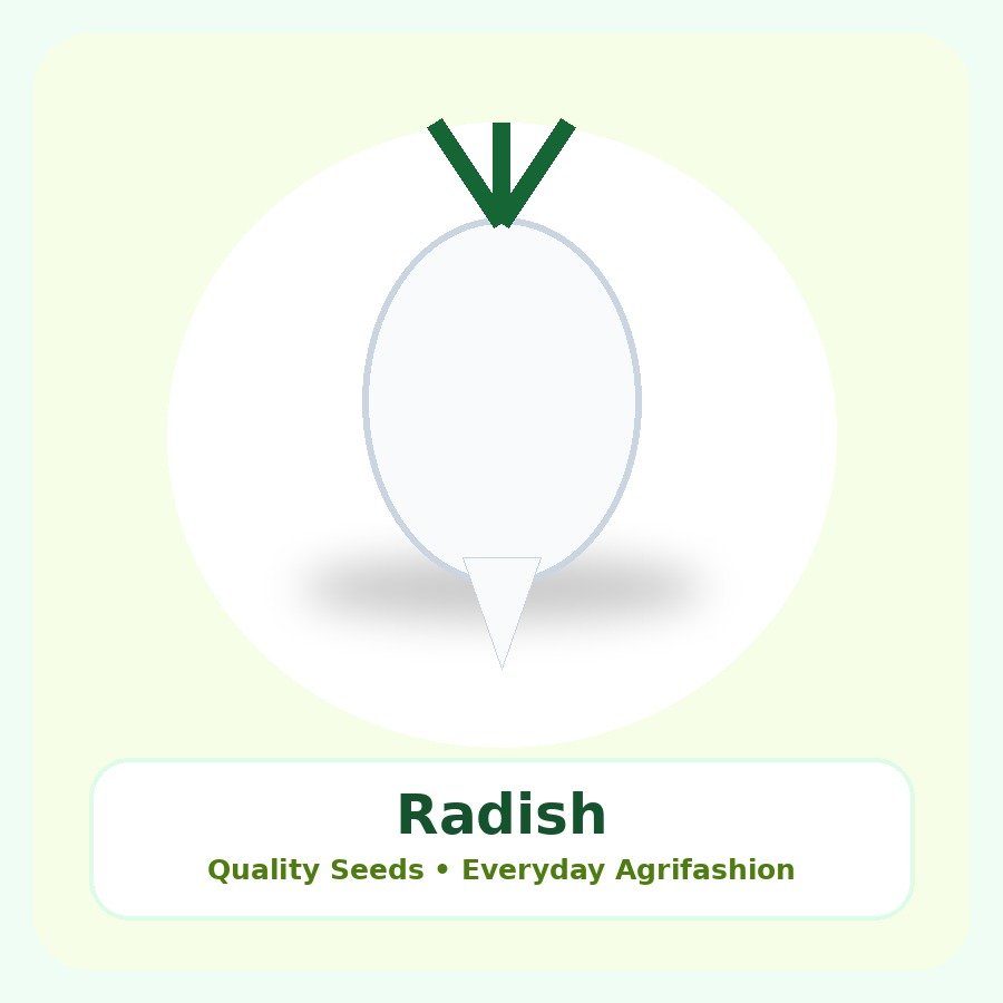 Radish Seeds 500g
