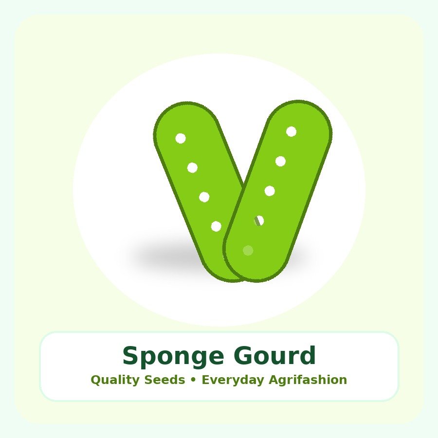 Sponge Gourd Seeds 50g