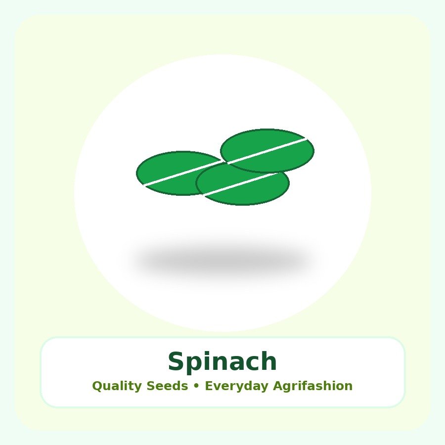 Spinach Seeds 100g